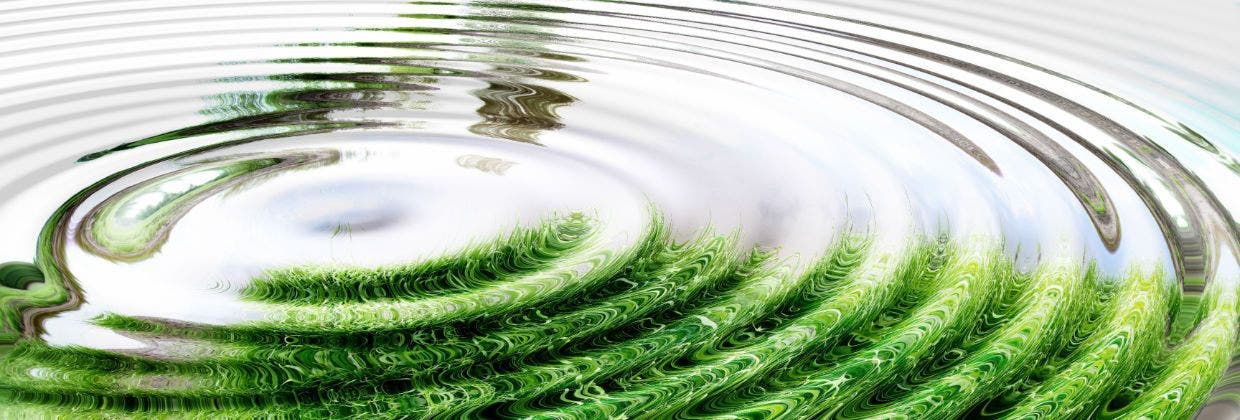 PFAS- och tensidfria brandsläckare är det bästa miljövalet