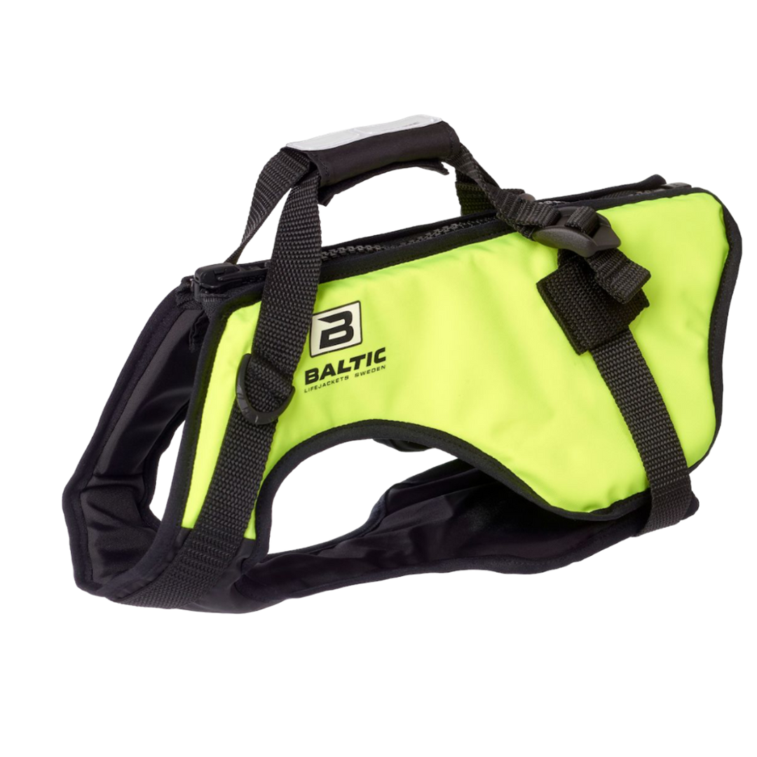 0440_Zorro_UV-Yellow