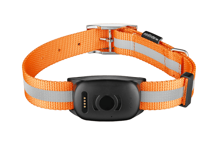 Spårsändare / GPS tracker MiniFinder Atto Pro 4G till hund, katt och häst – bild 3 – St George