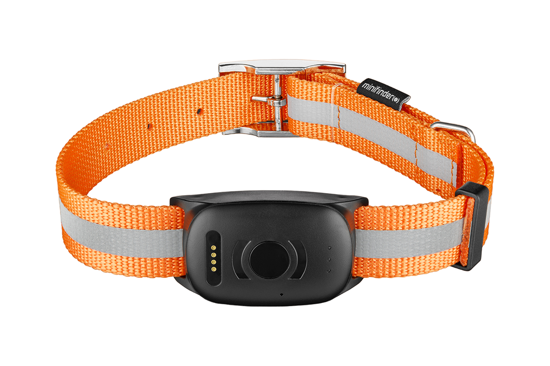 Hundhalsband med spårsändare / GPS tracker MiniFinder® Atto Pro 4G