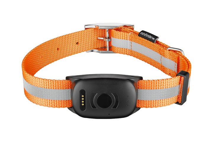 Hundhalsband med spårsändare / GPS tracker MiniFinder® Atto Pro 4G