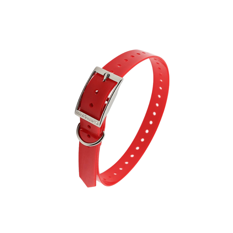 Hundhalsband till spårsändare MiniFinder Atto Pro 4G