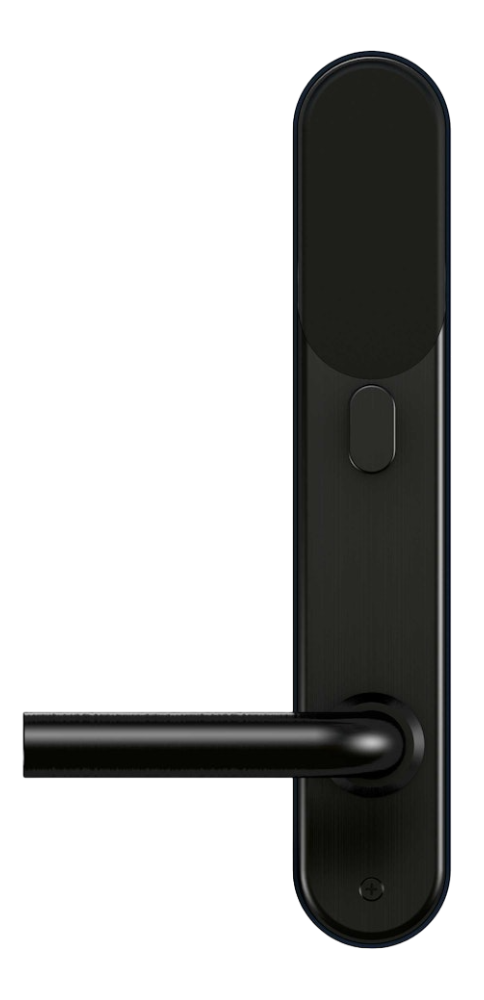 Smart digital dörrlås BG 5000 Svart