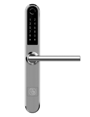 Smart Lock BG 2000 - Rostfritt